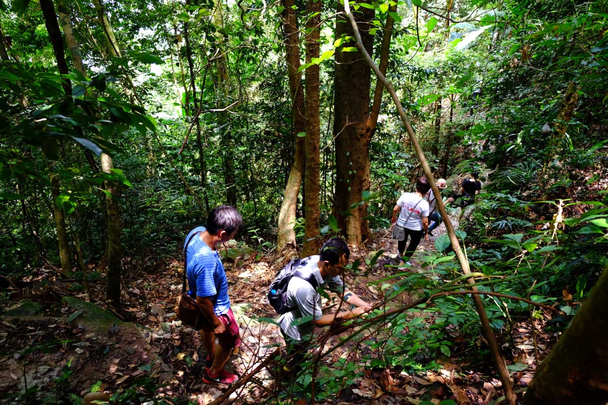 Hiking Trails Near Hanoi